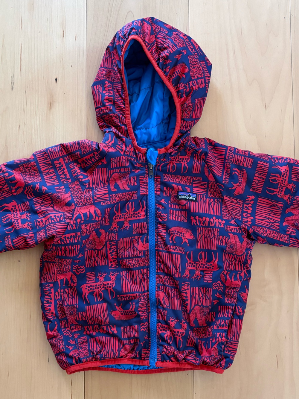 Patagonia reversible hooded jacket